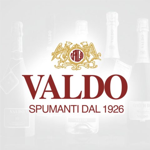 Valdo Logo